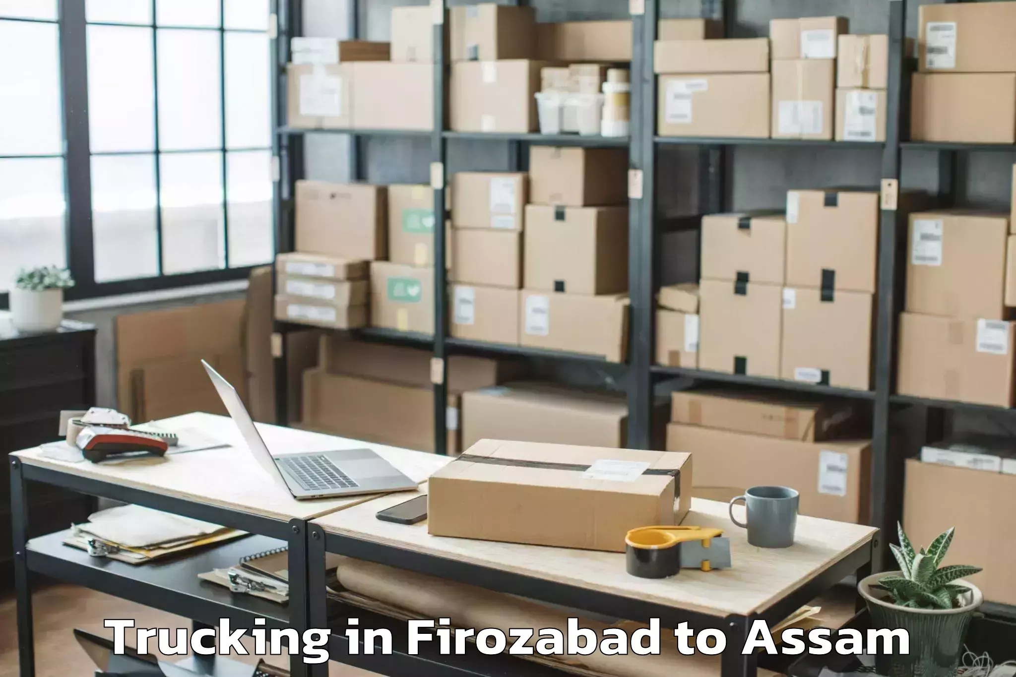 Book Firozabad to Bijni Pt Trucking Online